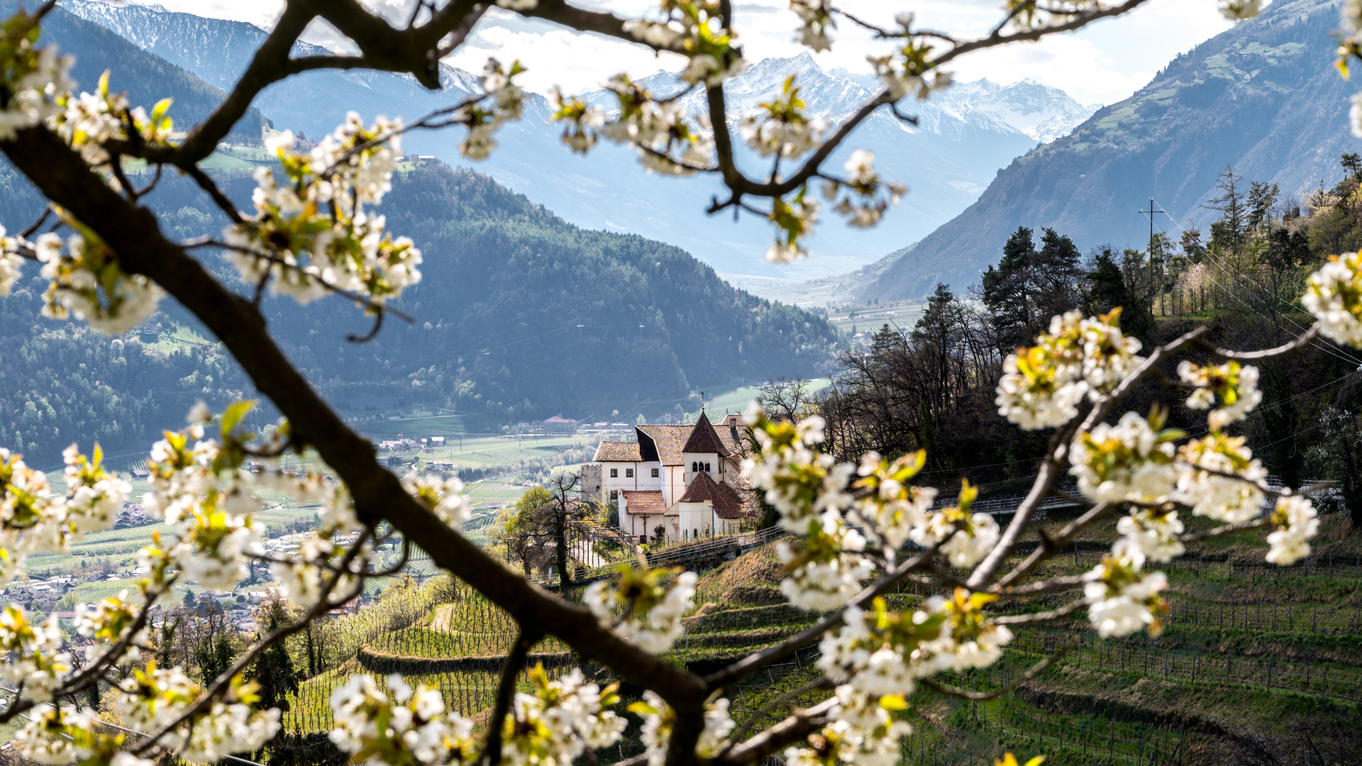 Frühling in den Bergen