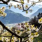 Frühling in den Bergen