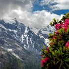 Frühling in den Bergen