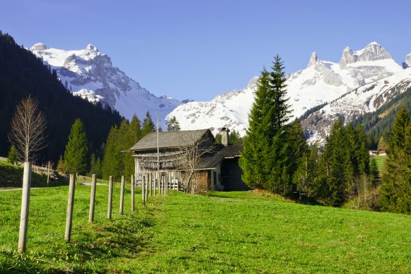 Frühling in den Bergen