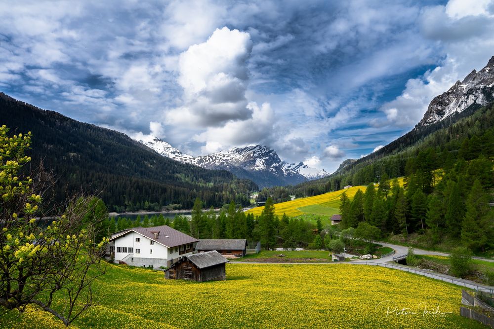 Frühling in den Bergen