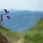 Frühling in den Bergen