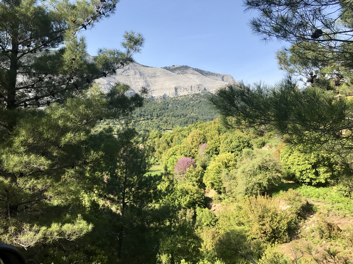 Frühling in den Bergen