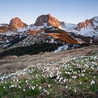 Frühling in den Bergen