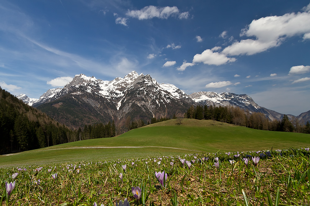 Frühling in den Bergen