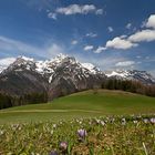 Frühling in den Bergen