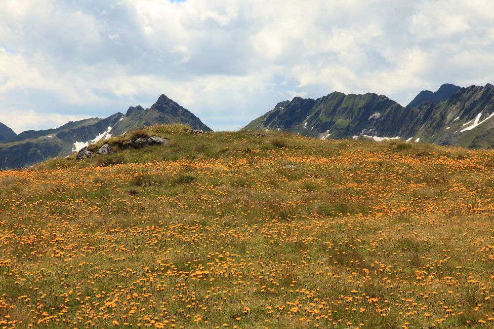 " Frühling in den Bergen "