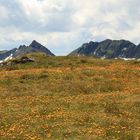 " Frühling in den Bergen "