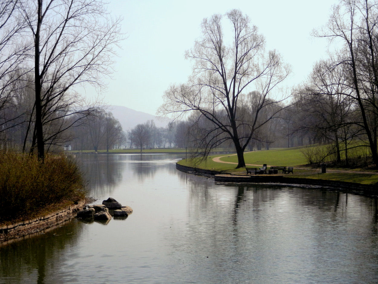 Frühling in den Bonner Rheinauen 2