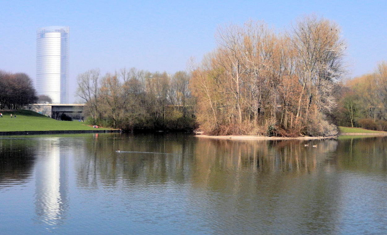 Frühling in den Bonner Rheinauen 3