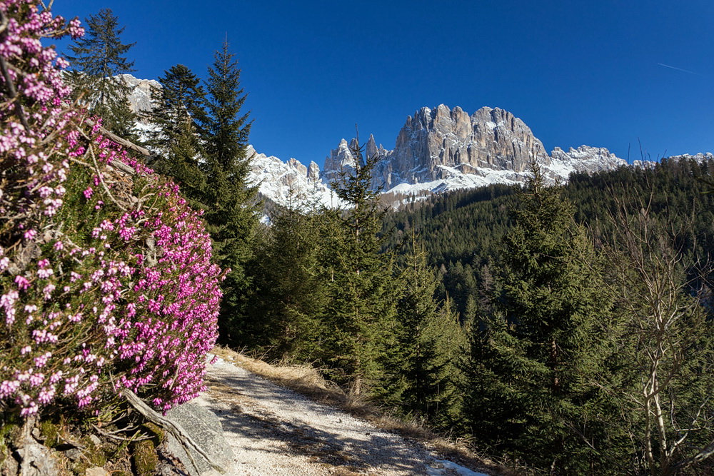 Frühling in den Dolomiten