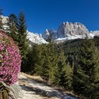 Frühling in den Dolomiten