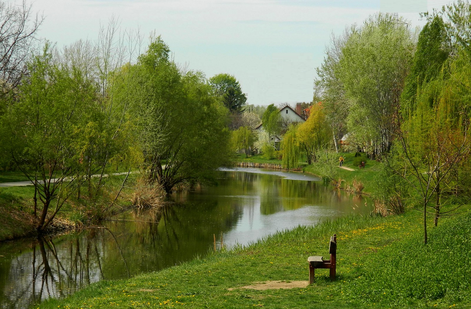 Frühling in den Fluss