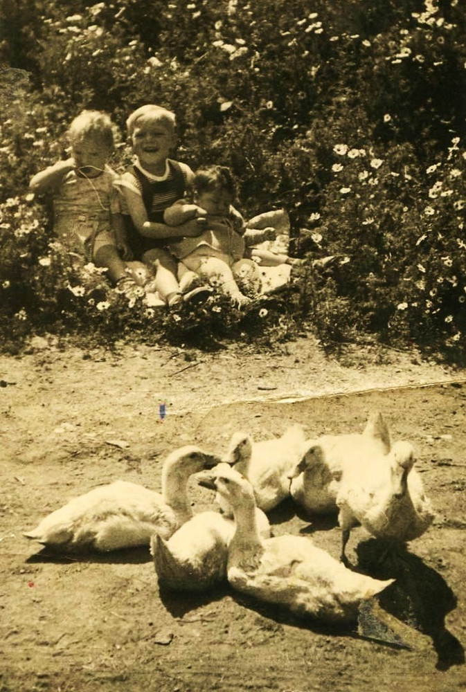 Frühling in den guten alten Zeiten von anjadarkangel 