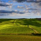 Frühling in den Hügeln der Toskana