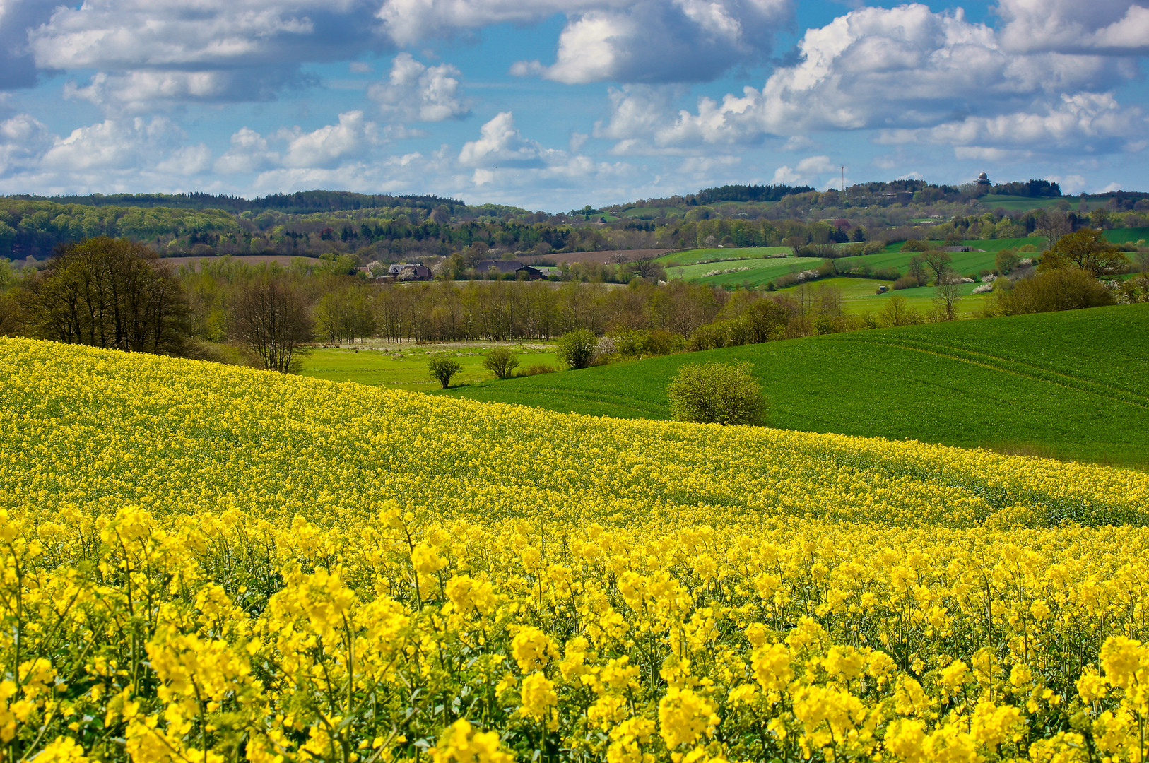 Frühling in den Hüttener Bergen