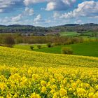 Frühling in den Hüttener Bergen