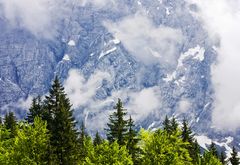 Frühling in den Julischen Alpen II