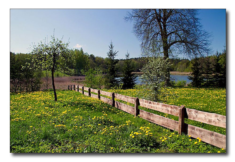 frühling in den masuren (2)