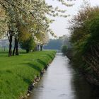 Frühling in den Ruhrwiesen