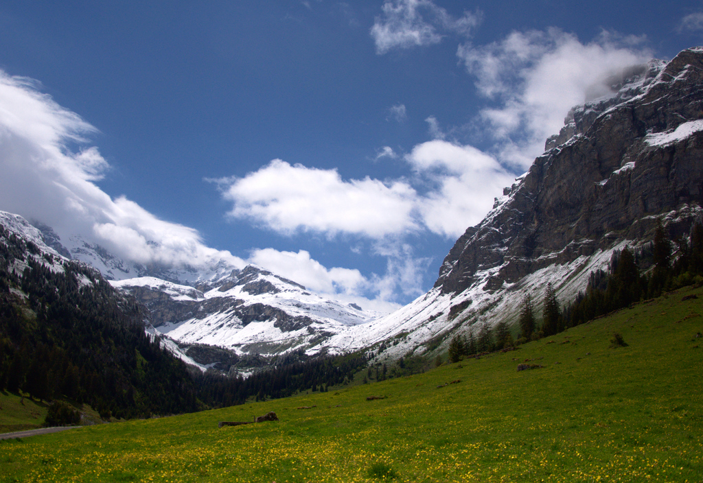 Frühling in den schweizer Bergen