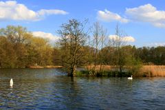 Frühling in den Teichen