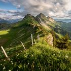 Frühling in den Voralpen