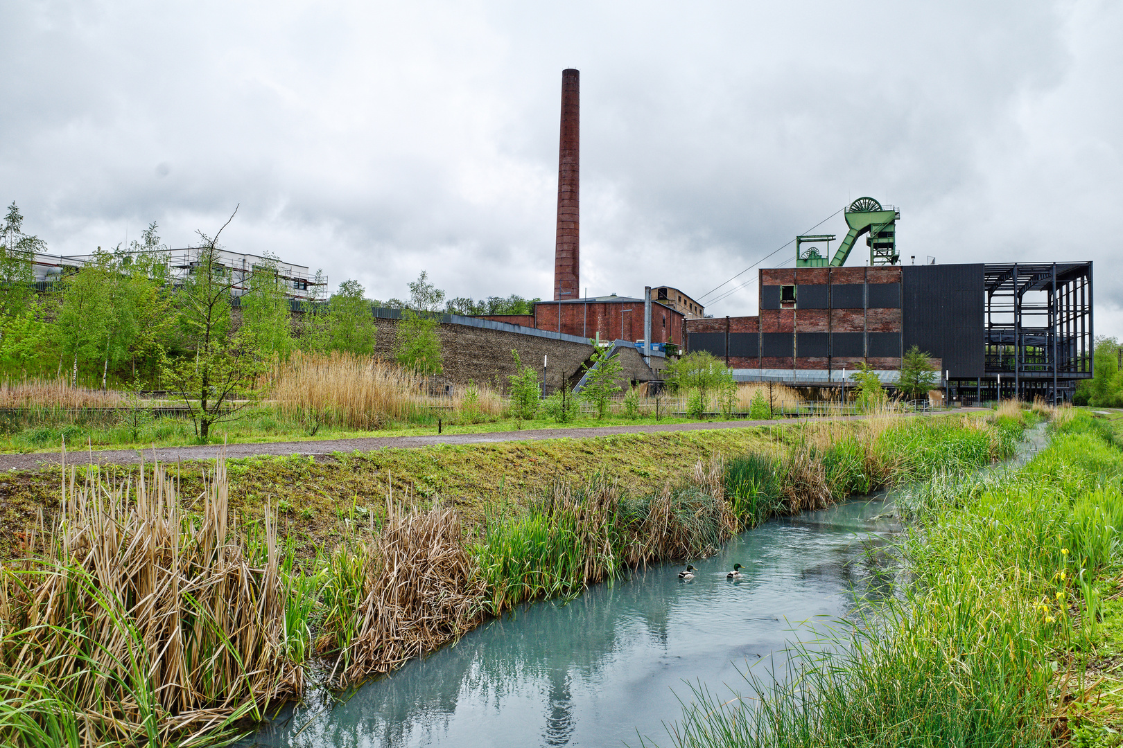 Frühling in den Wassergärten Landsweiler-Reden