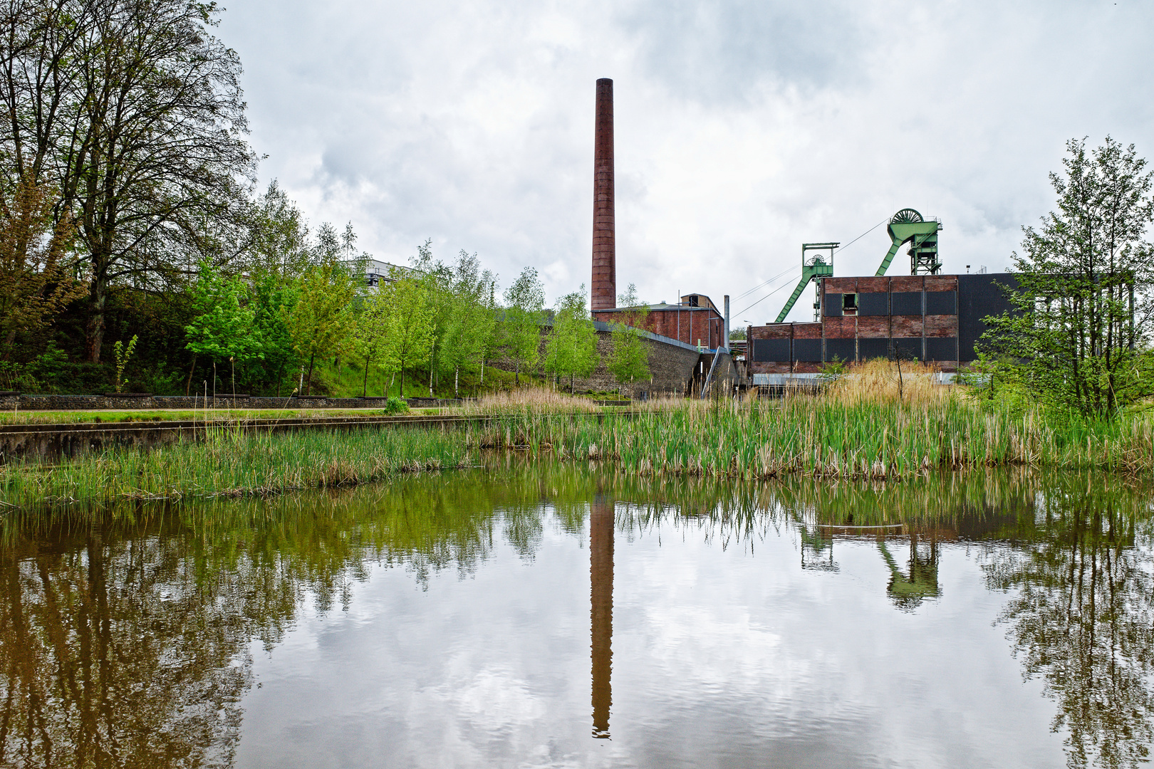 Frühling in den Wassergärten Landsweiler-Reden