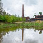 Frühling in den Wassergärten Landsweiler-Reden