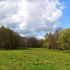 Frühling in den Wetteraauen (2)