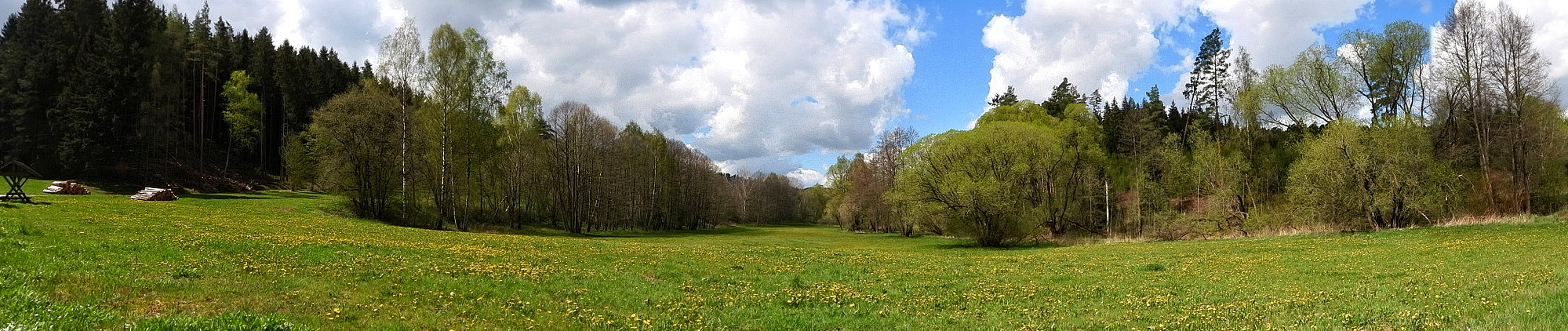 Frühling in den Wetteraauen (2)