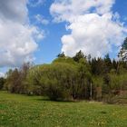 Frühling in den Wetteraauen