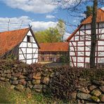 Frühling in der Altmark (2)