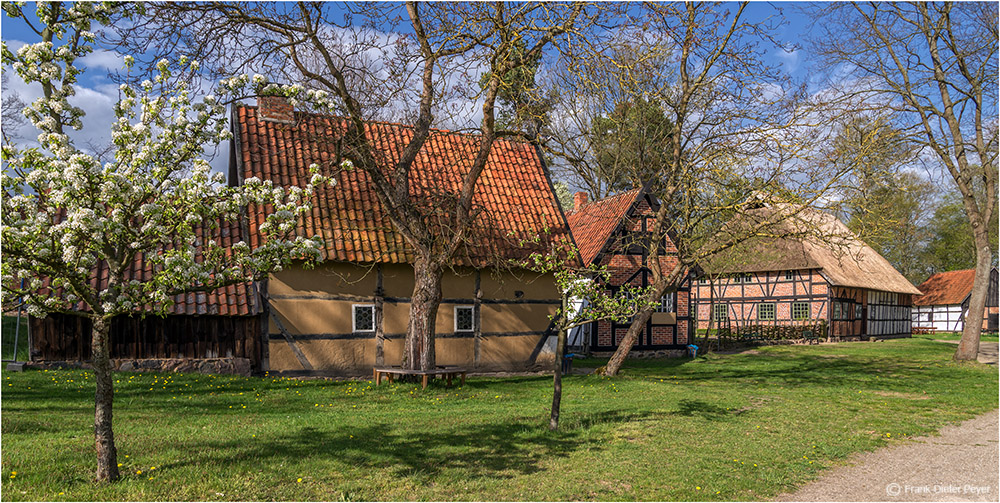 Frühling in der Altmark