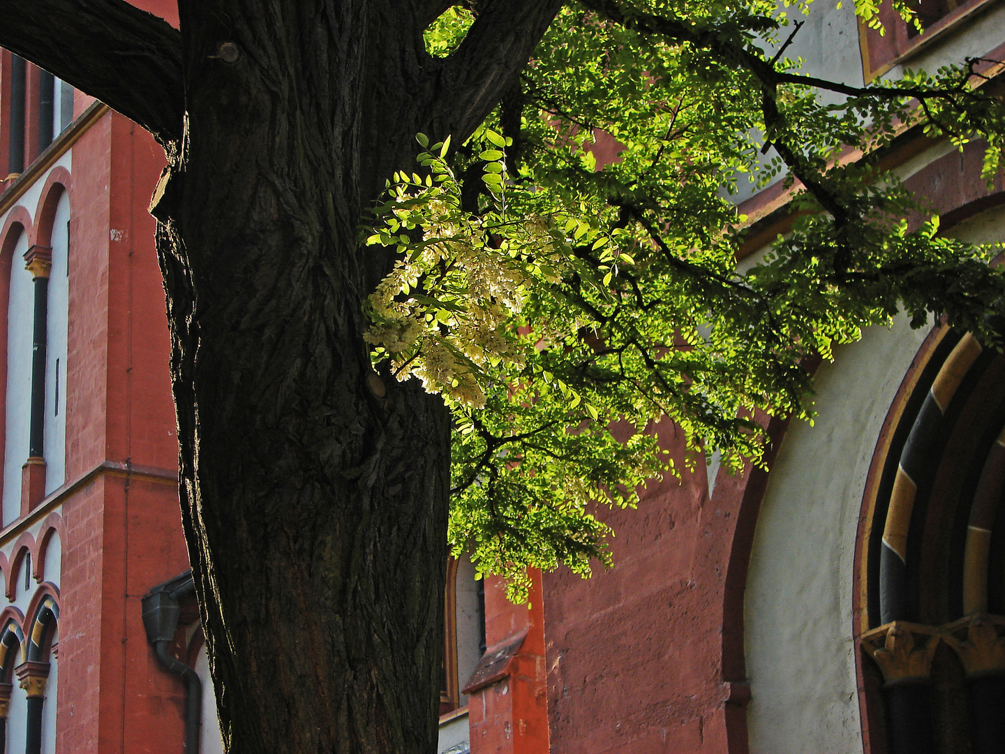 Frühling in der Altstadt