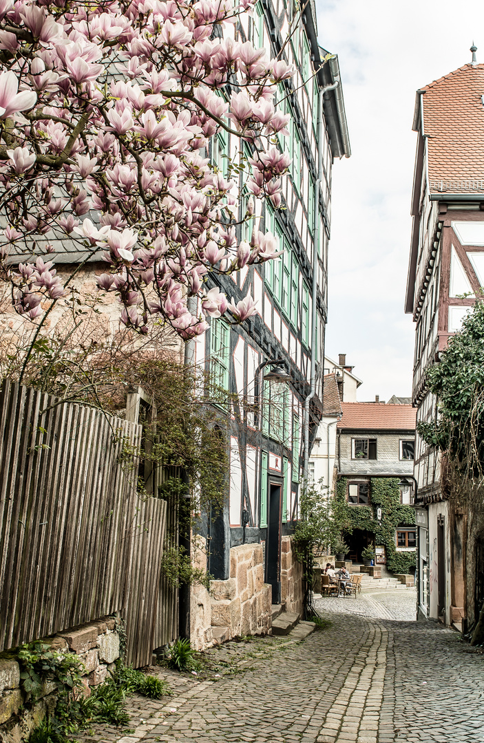 Frühling in der Altstadt / Marburg an der Lahn