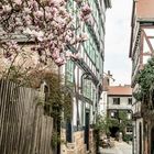 Frühling in der Altstadt / Marburg an der Lahn