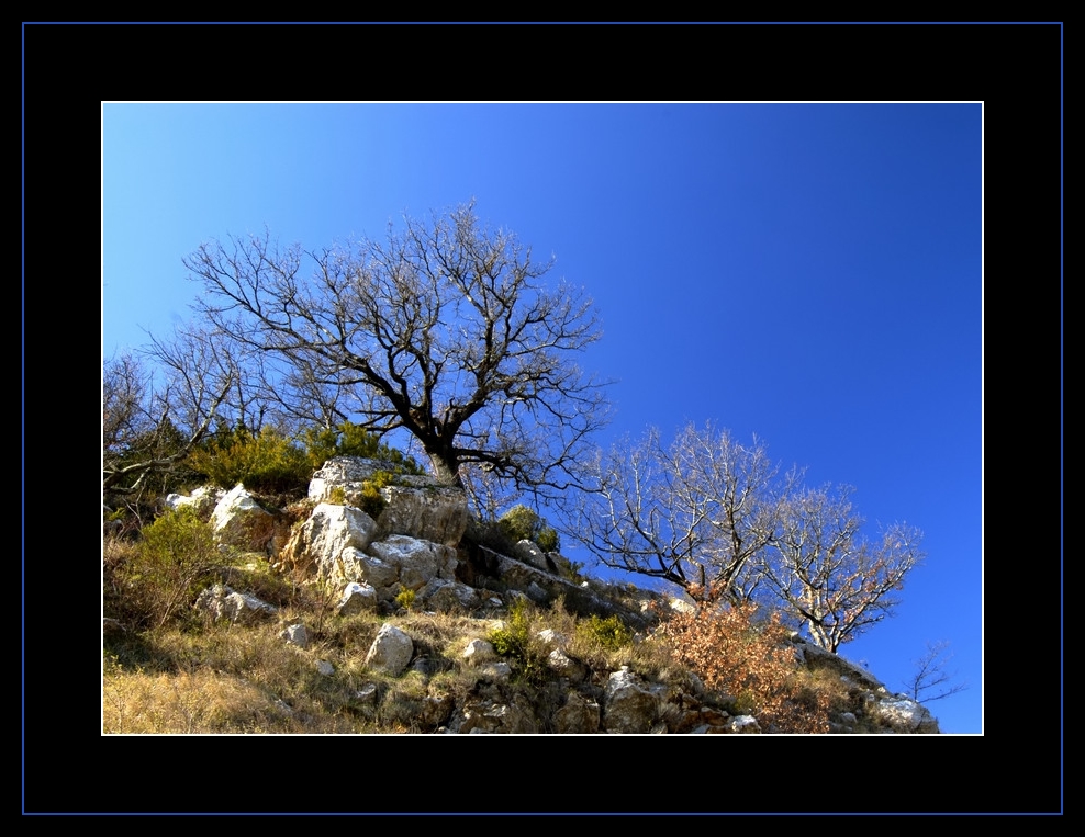 Frühling in der Ardèche