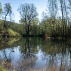 Frühling in der Au