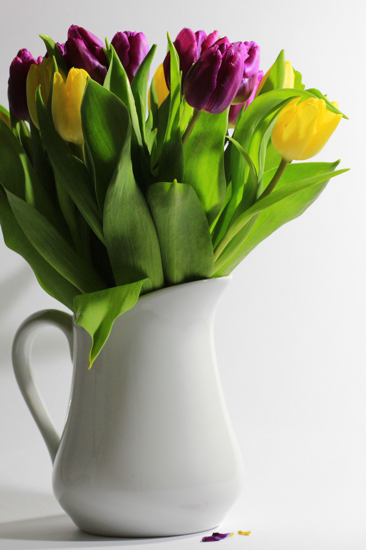 Frühling in der Blumenvase