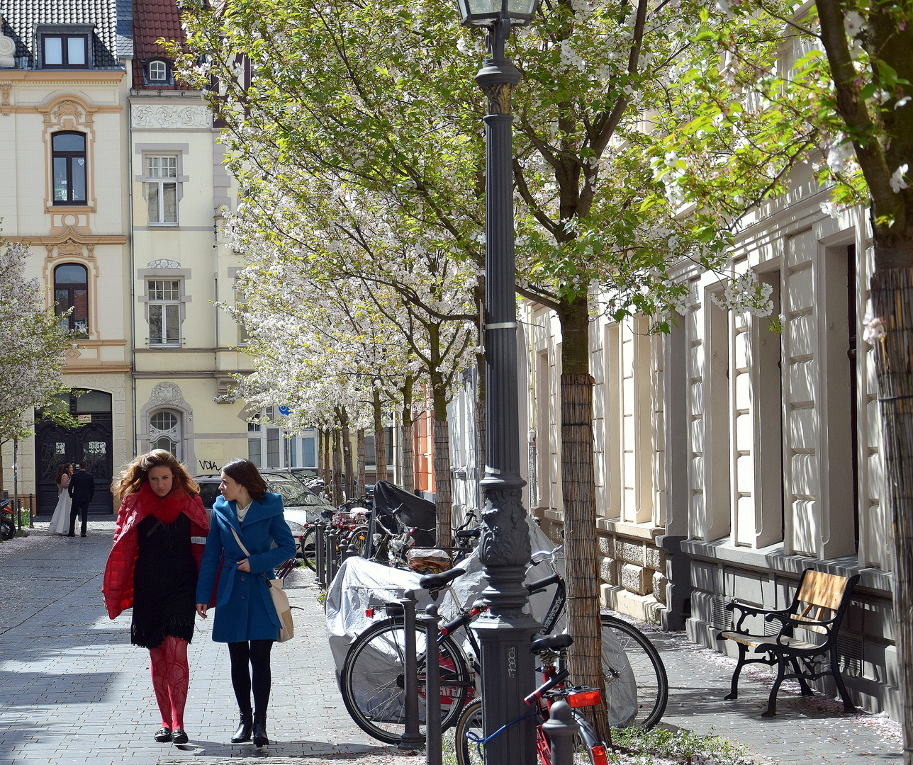 Frühling in der Bonner Altstadt.....