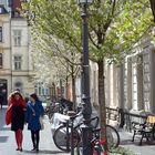 Frühling in der Bonner Altstadt.....