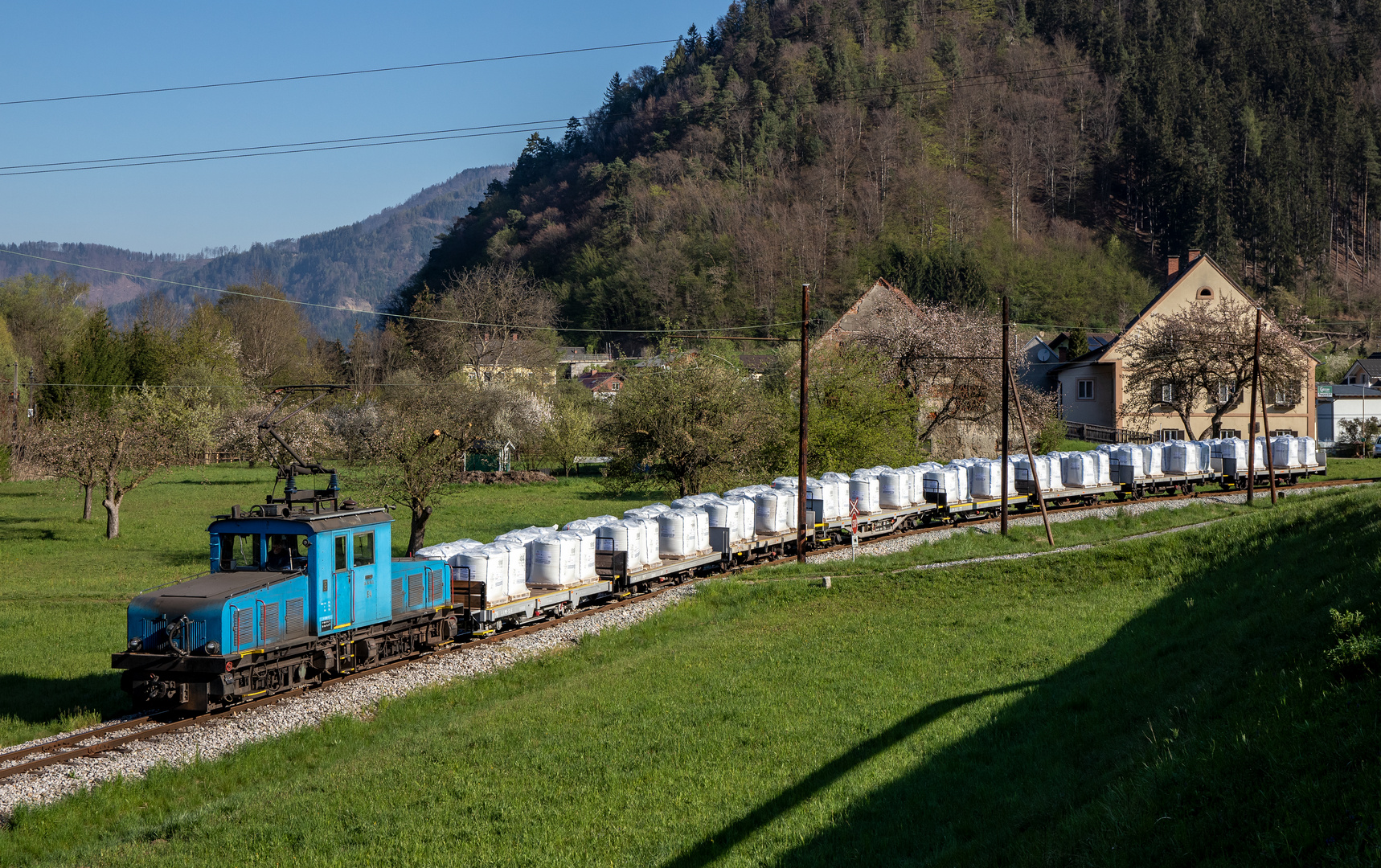 Frühling in der Breitenau I