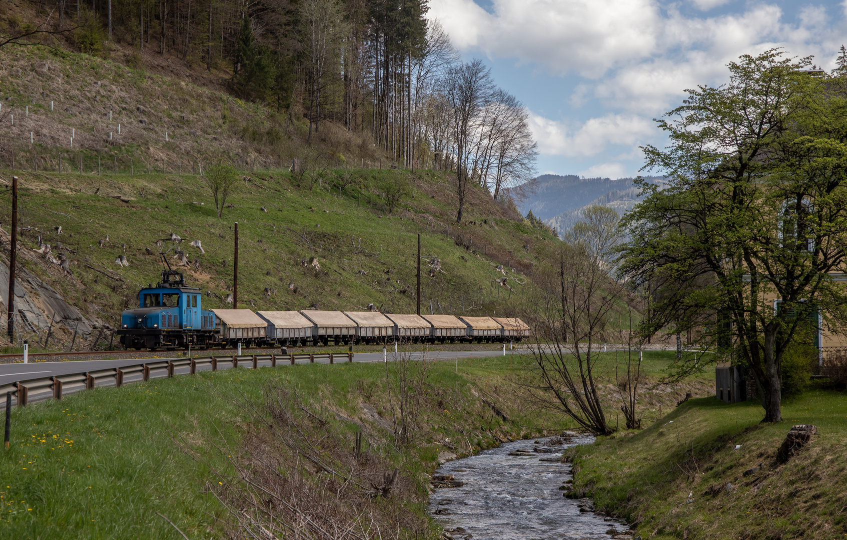 Frühling in der Breitenau III