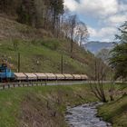 Frühling in der Breitenau III