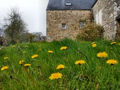 Frühling in der Bretagne