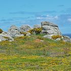 Frühling in der Bretagne