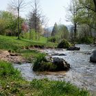 Frühling in der City