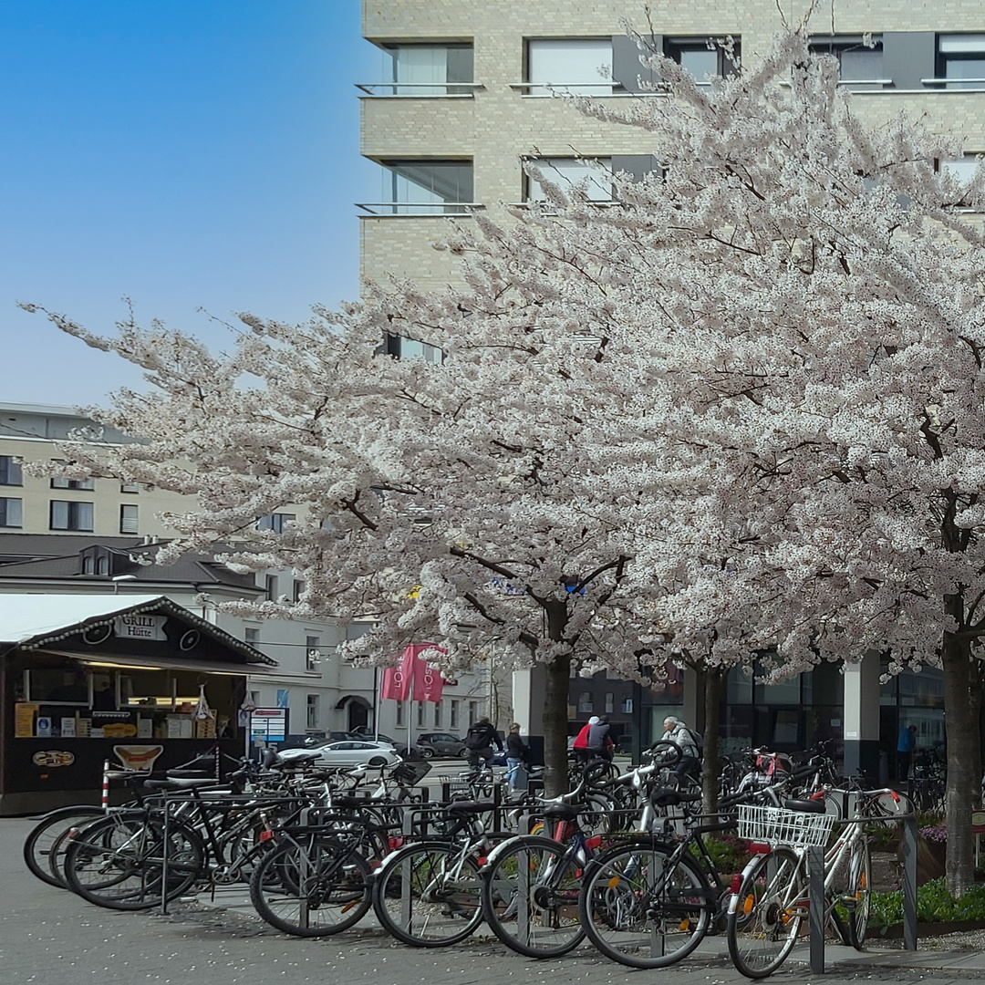 Frühling in der City